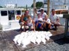 8-6 - A day to remember - Jim Sutphen and crew with 34 flounder (and a sea bass) to 8.2 pounds, with a number of 4-5 pound class fish.
